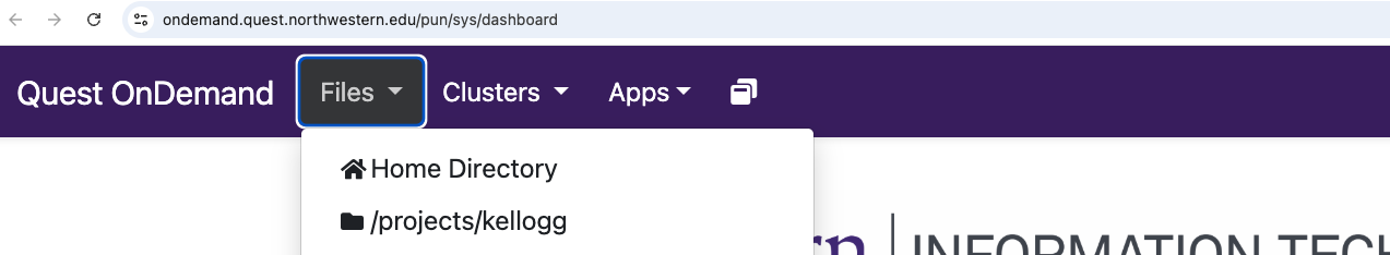 Quest OnDemand Files menu